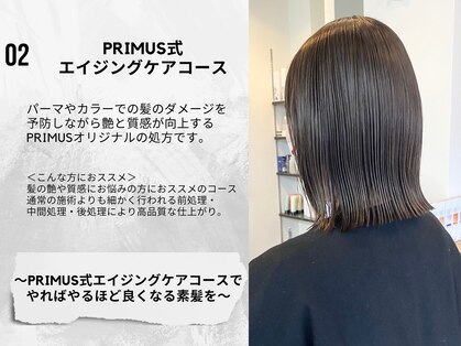 プリームス(PRIMUS)の写真