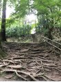 ヘアースタジオ ジェイワン(hair studio J ONE) 初めての一人旅で行った中尊寺