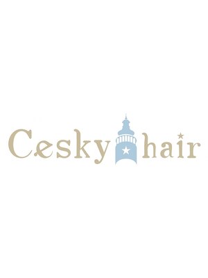 チェスキーヘア(Cesky hair)