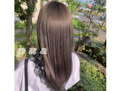 プア(PUA)の写真