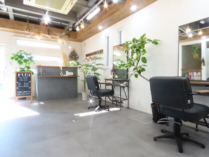 リファ(rifa)の写真