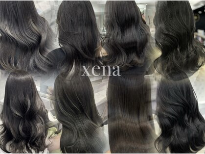ジーナ(xena)の写真