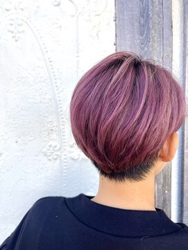 イワセ(IWASE) パープルカラー