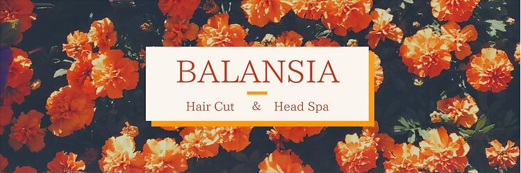 バランシア(BALANSIA)のサロンヘッダー