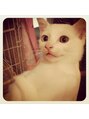 ミュウ(Private hair salon Miu) 猫を飼ってます。噛みます。