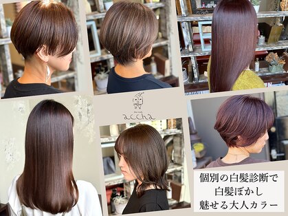 ヘアーメイク アチャ(hair make accha)の写真