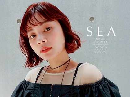 シーバイトリコ 市川(SEA by tricot)の写真