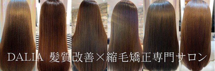 ダリア 横浜(DALIA)のサロンヘッダー