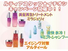 トトサ ルティア(TOTOSA Rutia)