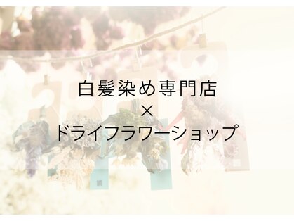 ノンノ 永山店(nonno)の写真