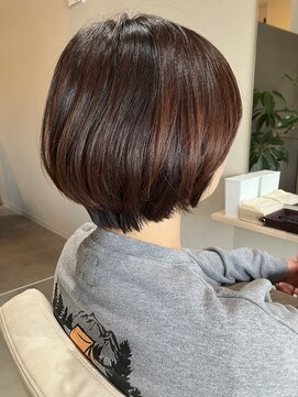 本と南風 guest design