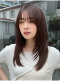 レイヤーミディアム韓国ヘアストレートヘアダークブラウンカラー
