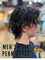 スカイ(SKY)&nbsp;ツイスパ/波巻き/眉毛/バーバー/ニュアンスパーマ/ブリーチ