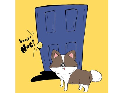 ノック(NOC.)の写真