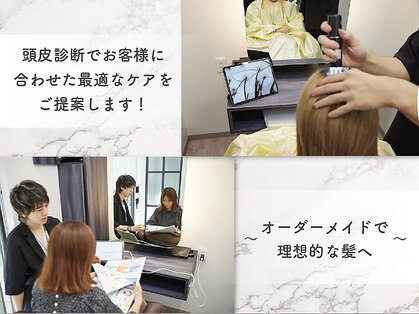 コモド(Comodo)の写真
