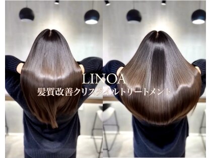 リノア(LINOA)の写真