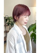 アルディイースト(hardi EAST) Springカラー