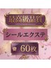 限定！【★★★★★とにかく1番良い毛質！】シール60枚￥30000→￥24000