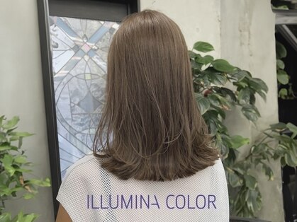 ハル(HAL)の写真