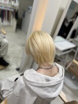 カリーナ(CARINA)&nbsp;ハイトーンカラー/ブロンドカラー