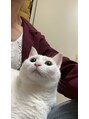 エクラージュ(eclarge)&nbsp;しろねこ飼ってます！癒し以外の何者でもない(*´-`)