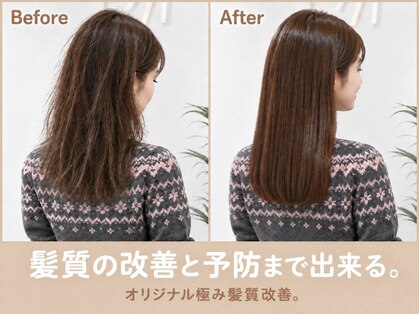 ミンツ(MINTS)の写真