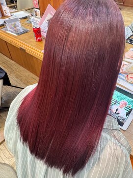 ボルドーカラー12/13デザインカラー