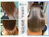 【白髪染め】明るい白髪染め+トリートメント+ヘッドスパ【メンテナンス】
