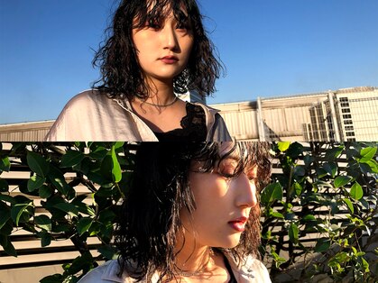 オム(omu)の写真