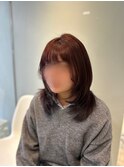 レイヤー
