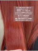 イエべ秋ブルベ冬ブリーチ無しWカラー高発色チェリーレッド