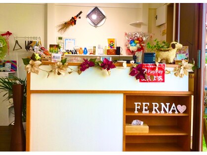 フェルナ(FERNA)の写真