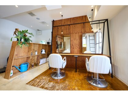 リタ(LITA)の写真