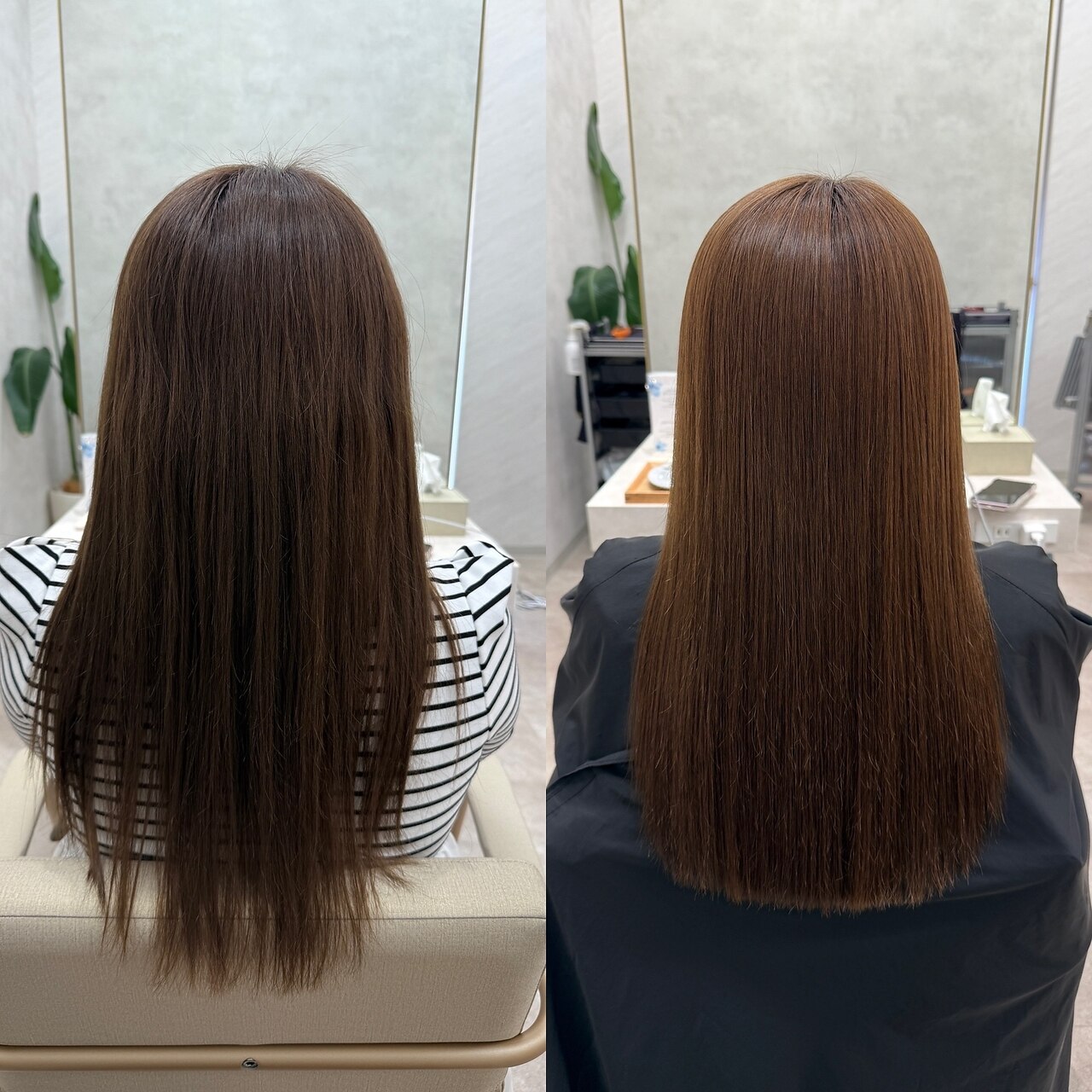 sins酸性ストレート4アイテム✖︎スピエラ、GMT添加率