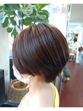 パウダーヘアー ルミニティ(powder hair luminity) 大人のナチュラルショートスタイル◎20代30代40代50代