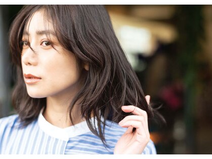 シード(SEED)の写真