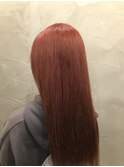 〆木村和祐　★チェリーブロッサム★