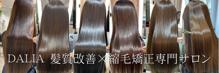 ダリア 横浜(DALIA)のサロンヘッダー