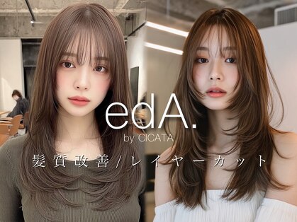 縮毛矯正・髪質改善専門 edA. 鎌倉 【エダ】の写真