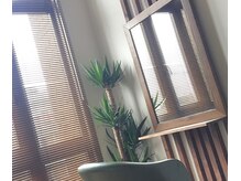 アムール(Amour)の雰囲気（完全予約/お待たせがない/マンツーマンサロン/岐阜市/脱白髪染め）