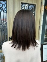 チョコレート(chocolate) ソフトウルフ