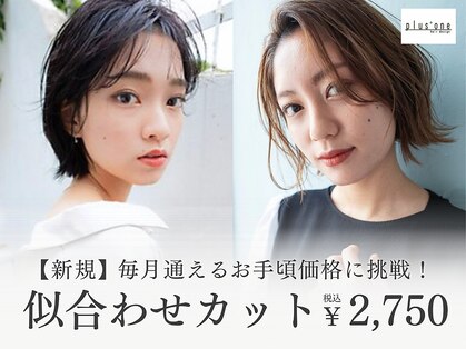 プラスワン(plus+one)の写真