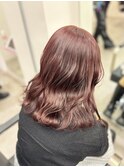 カシスレッド/レッドブラウン/ブリーチなしダブルカラー/美髪