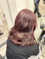 ダズリングディア(Dazzling Deer)&nbsp;カシスレッド/レッドブラウン/ブリーチなしダブルカラー/美髪