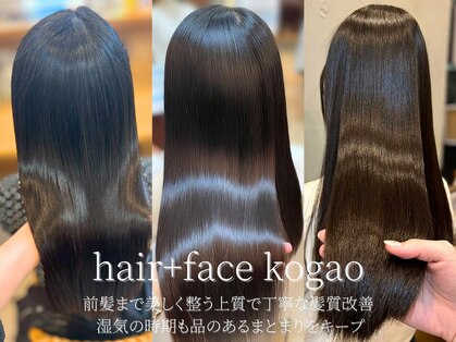 コガオ(kogao)の写真