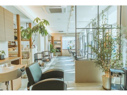 アラタ(ARATA)の写真