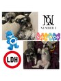 ユニークバイケンジ 町田(unique KENJE)&nbsp;シュナウザー2匹飼ってます！Number_i、LDH、ケアベア好きです☆