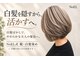 ノエル(NoEL)の写真