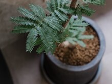ヨイ(YOI)の雰囲気(心地良く過ごしていただける時間を大切にしています▼▼)