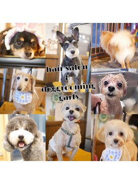 ガーフィー(garfy) 可愛さを引き出す生活に合わせたスタイル提案を